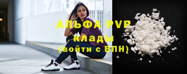 стаф Арсеньев