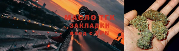 стаф Арсеньев