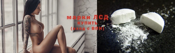 стаф Арсеньев
