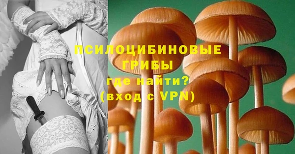 стаф Арсеньев