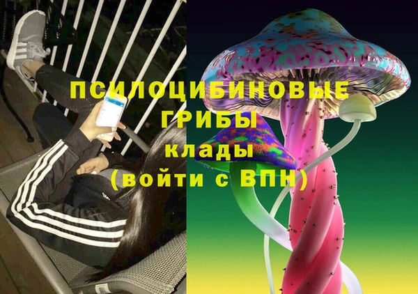 стаф Арсеньев