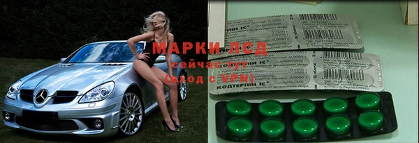 стаф Арсеньев