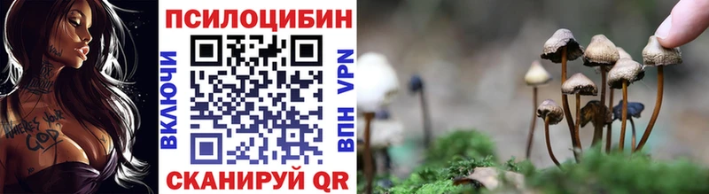 Галлюциногенные грибы ЛСД  цены   Олонец 