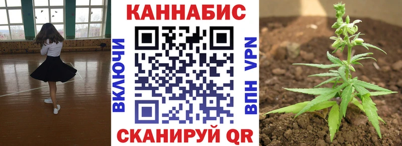 Бошки марихуана сатива  Олонец 